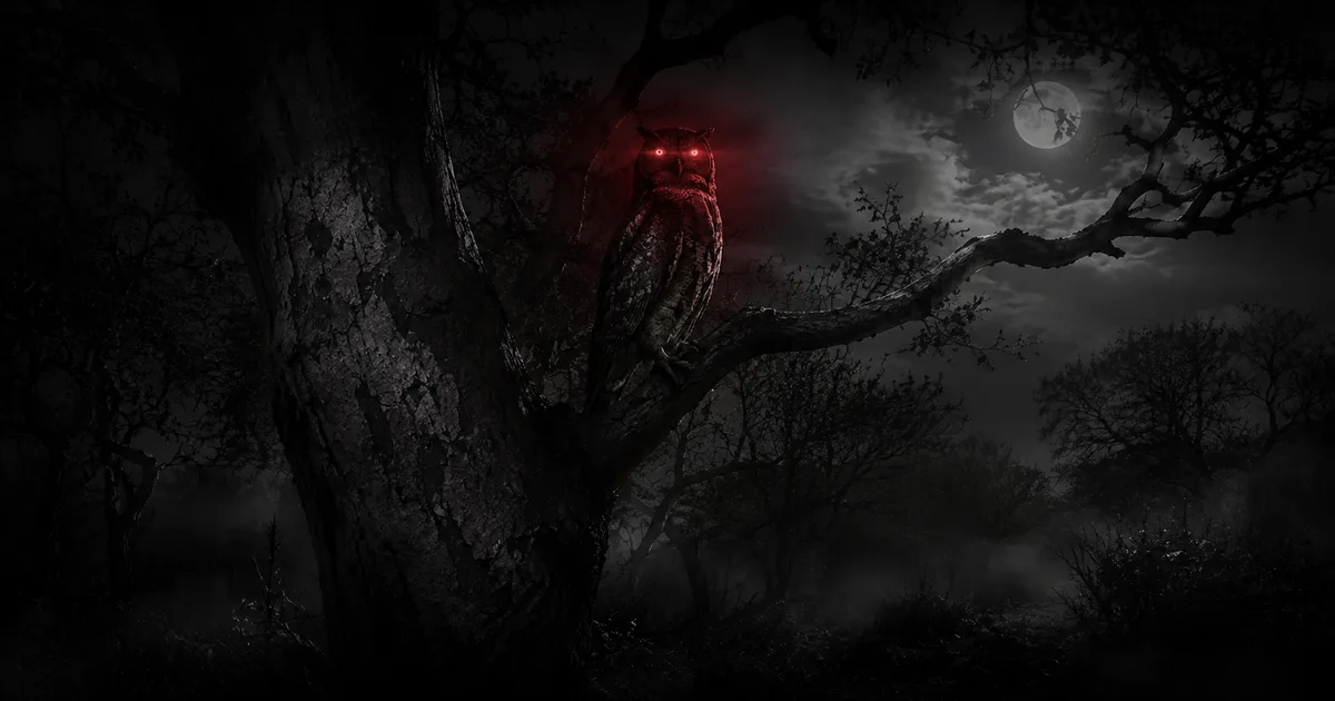 Un ave nocturna posada en la rama alta de un quebracho en el monte santiagueño de noche, su plumaje confundiéndose con la corteza, con un tenue resplandor rojo en sus ojos